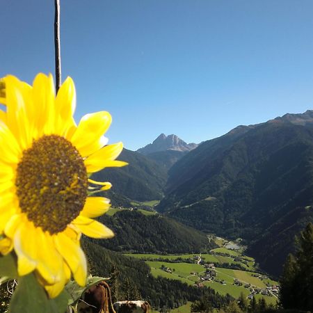 Herol - My Mountain Retreat ルゾーン エクステリア 写真