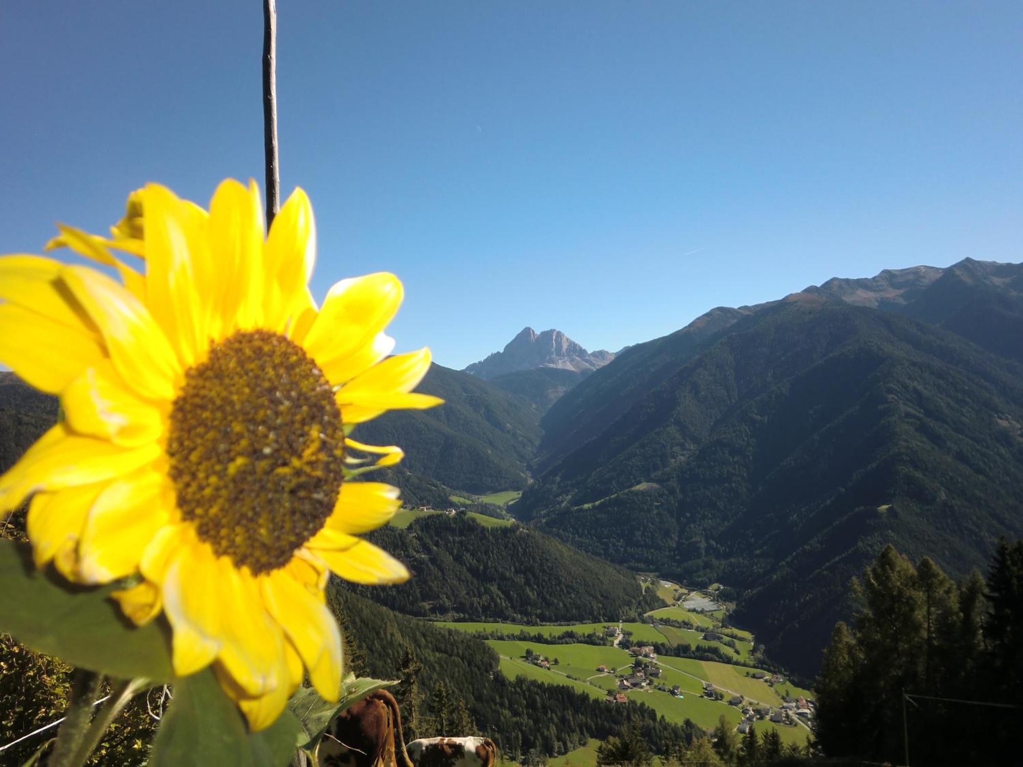 Herol - My Mountain Retreat ルゾーン エクステリア 写真