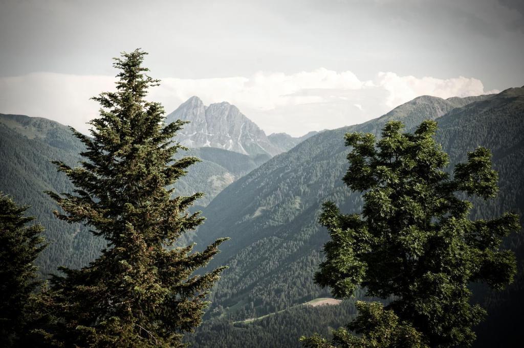 Herol - My Mountain Retreat ルゾーン エクステリア 写真