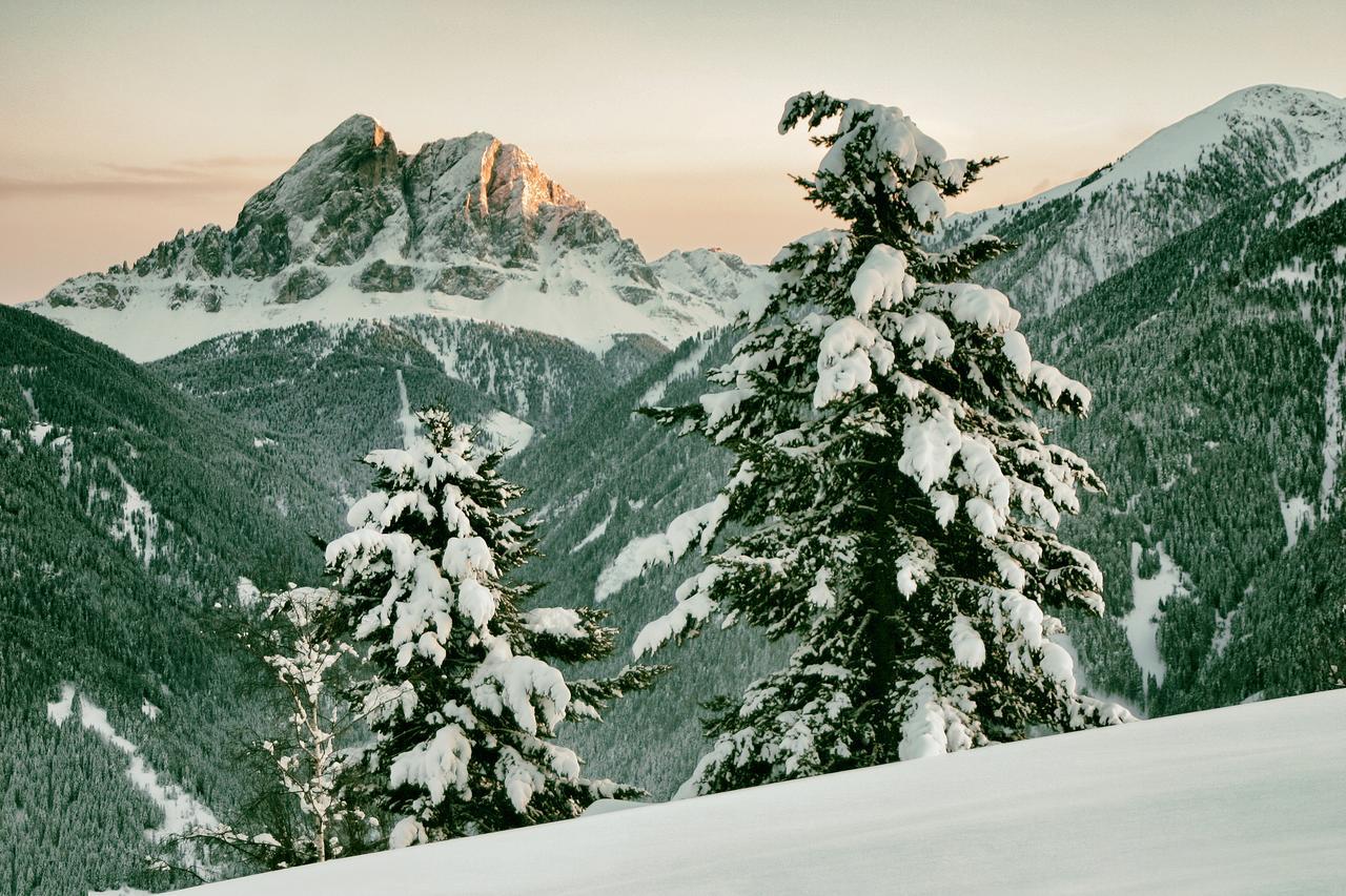 Herol - My Mountain Retreat ルゾーン エクステリア 写真