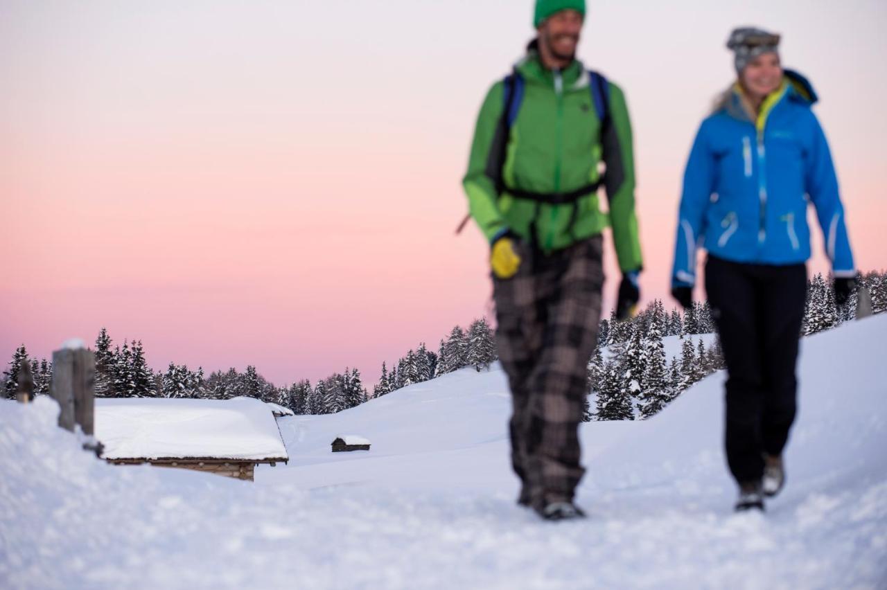 Herol - My Mountain Retreat ルゾーン エクステリア 写真